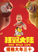 火影忍者中的魔法遗迹：对战策略分析